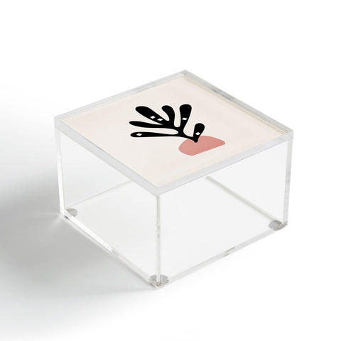 Mambo Art Studio Cut Out Plant Acrylic Box