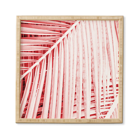 Mambo Art Studio Palm Leaves Living Coral Framed Wall Art