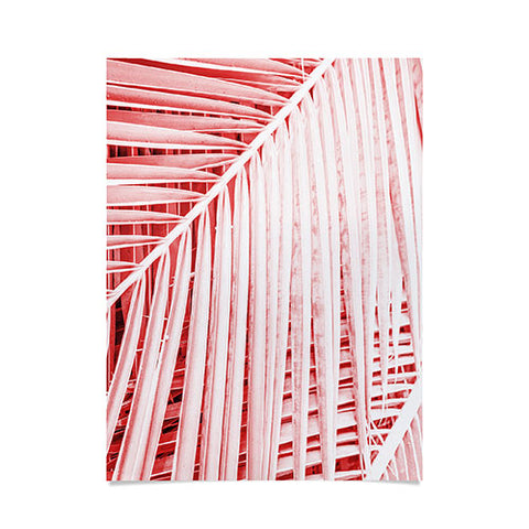 Mambo Art Studio Palm Leaves Living Coral Poster