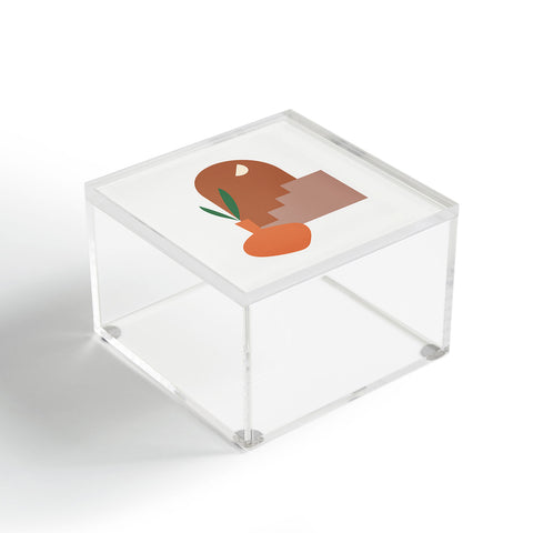 Mambo Art Studio Terracota Minimal Vase Acrylic Box
