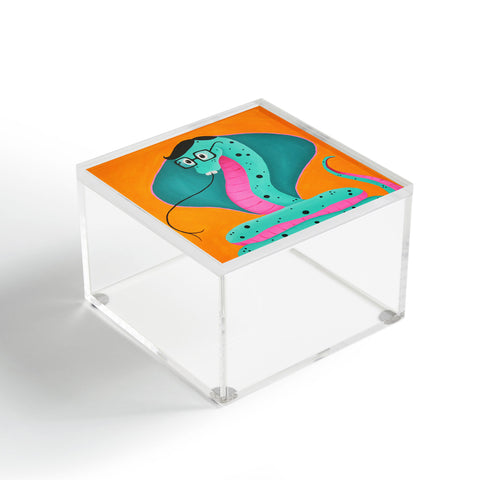 Mandy Hazell Smart Snake Acrylic Box