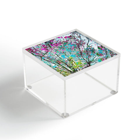 Mareike Boehmer Autumn 10 Acrylic Box