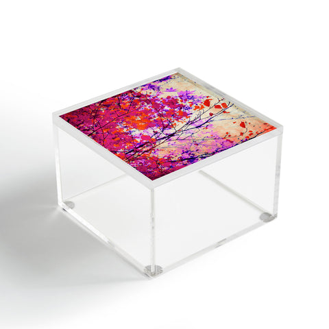 Mareike Boehmer Autumn 5 Y Acrylic Box