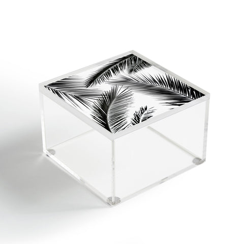 Mareike Boehmer Palm Leaves 10 Acrylic Box