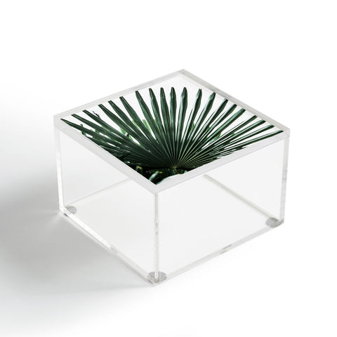 Mareike Boehmer Palm Leaves 13 Acrylic Box