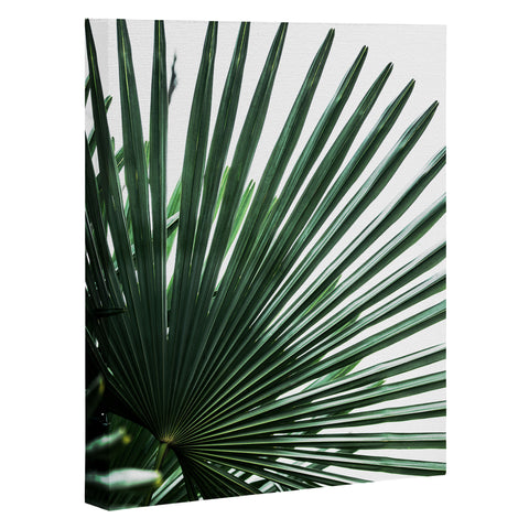 Mareike Boehmer Palm Leaves 13 Art Canvas