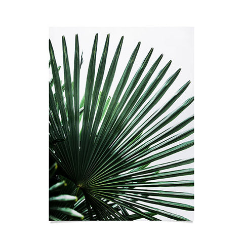 Mareike Boehmer Palm Leaves 13 Poster