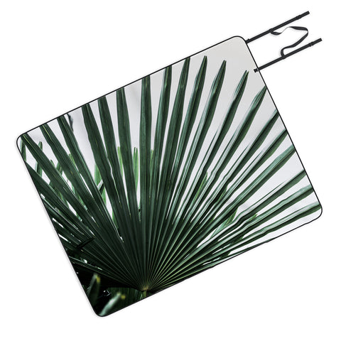 Mareike Boehmer Palm Leaves 13 Picnic Blanket