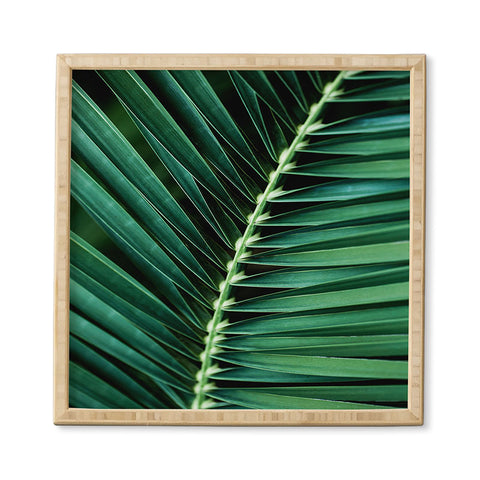 Mareike Boehmer Palm Leaves 14 Framed Wall Art