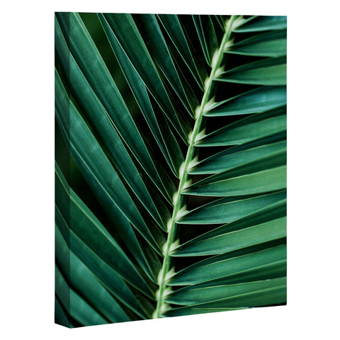 Mareike Boehmer Palm Leaves 14 Art Canvas