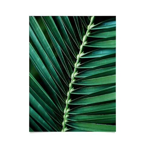 Mareike Boehmer Palm Leaves 14 Poster