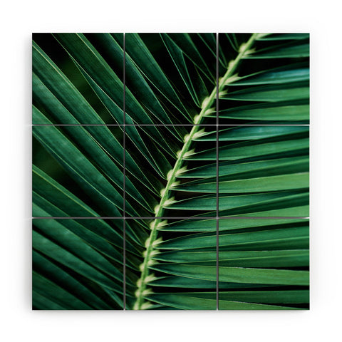 Mareike Boehmer Palm Leaves 14 Wood Wall Mural