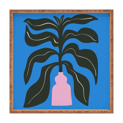 Marin Vaan Zaal Large Black Houseplant in Pink Square Tray