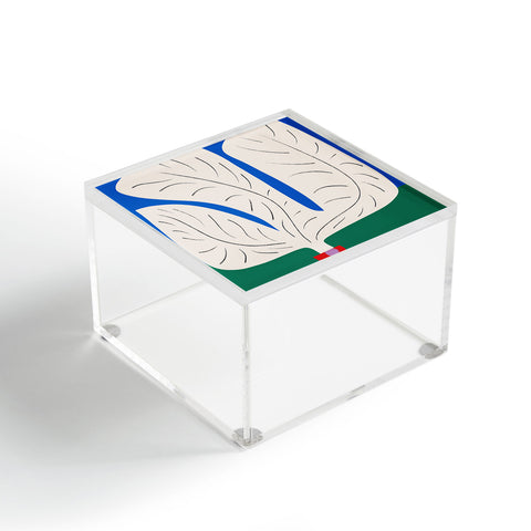 Marin Vaan Zaal Large White Plant in Spotted Pot Acrylic Box