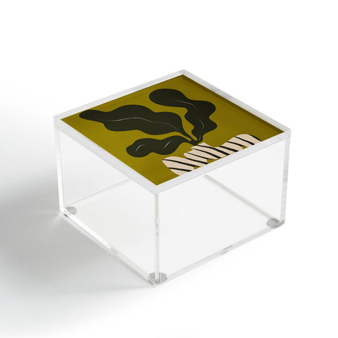 Marin Vaan Zaal Monochrome Wavy Fern in Stripe Acrylic Box