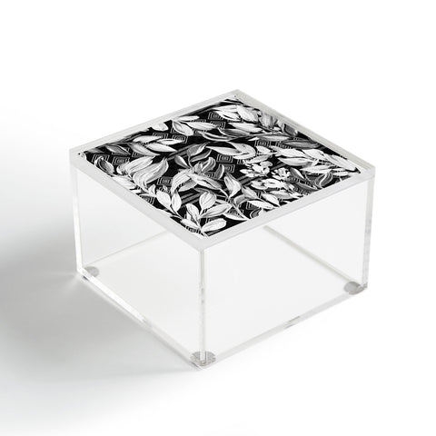 Marta Barragan Camarasa Black and white plants with geometric Acrylic Box