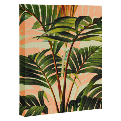 Marta Barragan Camarasa Botanical Collection 018 Art Canvas