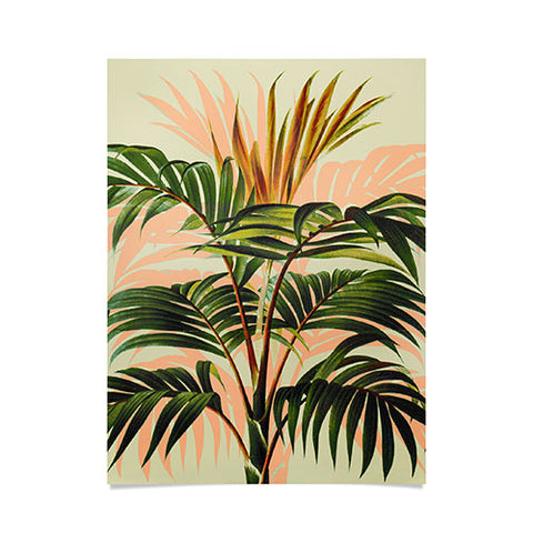 Marta Barragan Camarasa Botanical Collection 018 Poster