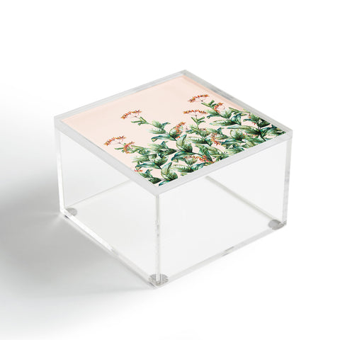 Marta Barragan Camarasa Botanical pink Acrylic Box