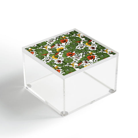 Marta Barragan Camarasa Flowering garden nasturtiums Acrylic Box