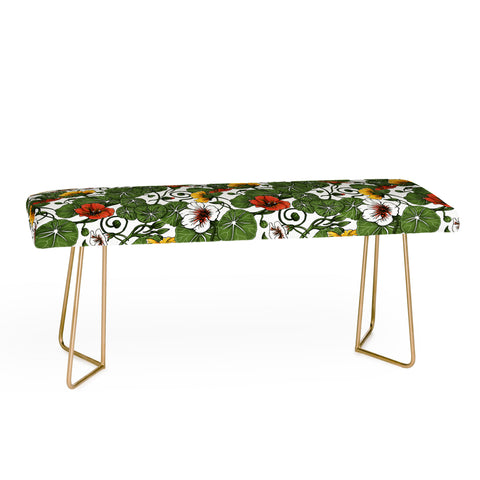 Marta Barragan Camarasa Flowering garden nasturtiums Bench