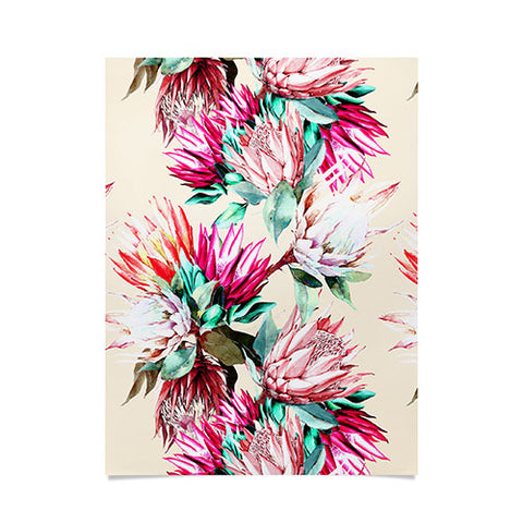 Marta Barragan Camarasa King proteas bloom 02 Poster