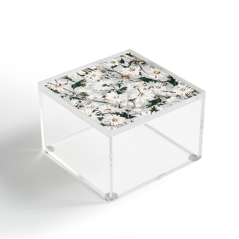 Marta Barragan Camarasa Meadow wild daisies I Acrylic Box