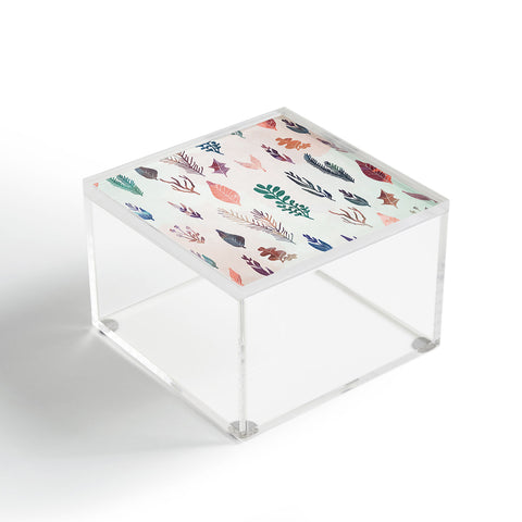 Marta Barragan Camarasa Mix of plants Acrylic Box