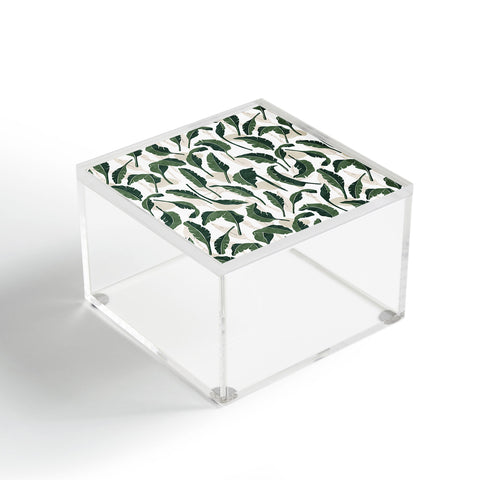 Marta Barragan Camarasa Simple tropical nature G Acrylic Box