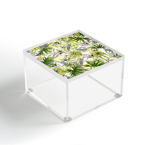 Marta Barragan Camarasa Stylish jungle Acrylic Box