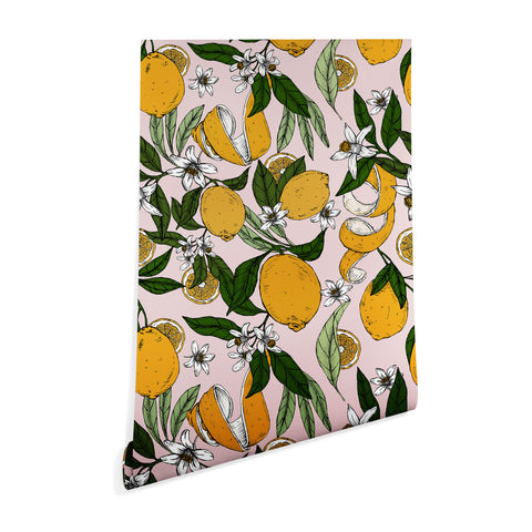 Marta Barragan Camarasa Succulent sweets oranges Wallpaper