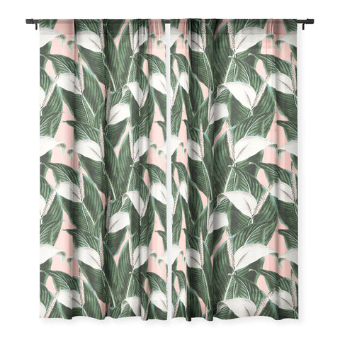 Marta Barragan Camarasa Sweet floral Desert Sheer Non Repeat