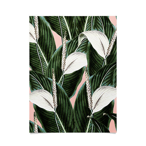 Marta Barragan Camarasa Sweet floral Desert Poster