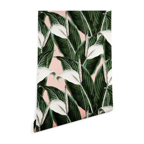 Marta Barragan Camarasa Sweet floral Desert Wallpaper