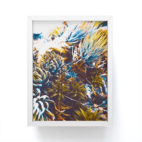 Marta Barragan Camarasa Wild cactus Framed Mini Art Print