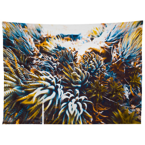 Marta Barragan Camarasa Wild cactus Tapestry