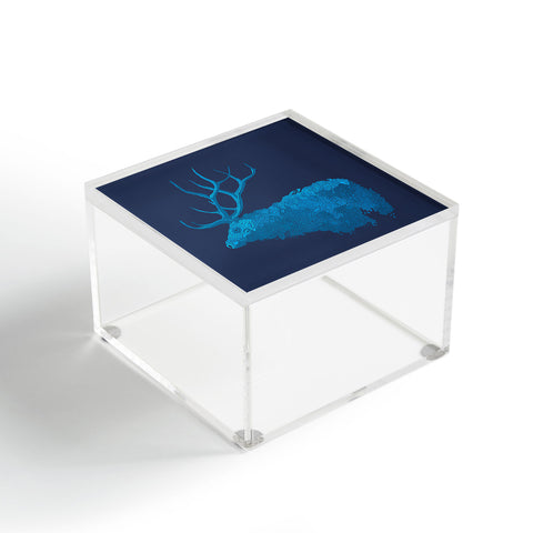 Martin Bunyi Elk Blue Acrylic Box