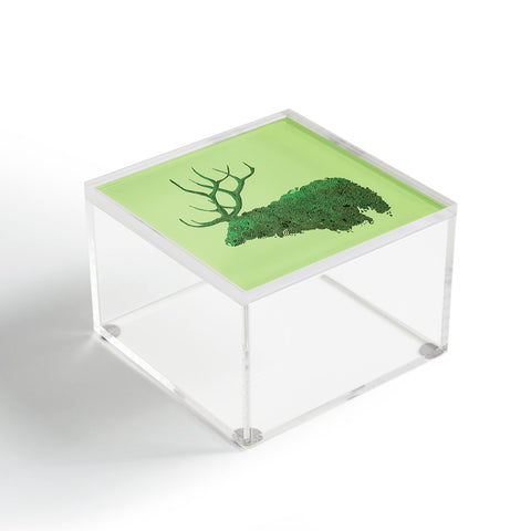 Martin Bunyi Elk Green Acrylic Box