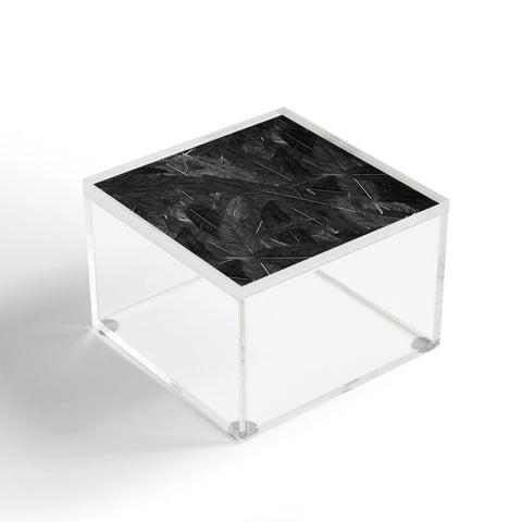Matt Leyen Feathered Dark Acrylic Box