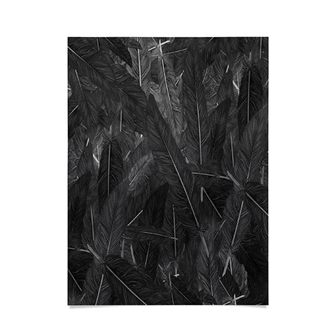 Matt Leyen Feathered Dark Poster