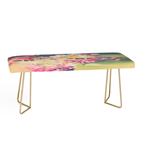 Maybe Sparrow Photography Oh So Pretty Bench