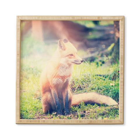 Maybe Sparrow Photography Sunny Fox Framed Wall Art