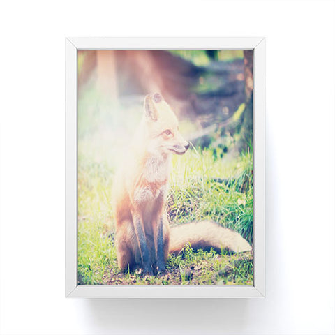 Maybe Sparrow Photography Sunny Fox Framed Mini Art Print
