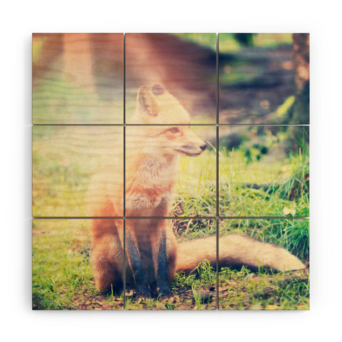 Maybe Sparrow Photography Sunny Fox Wood Wall Mural