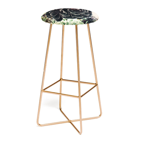 Maybe Sparrow Photography The Succulent Bar Stool