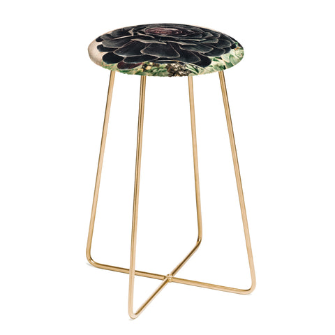 Maybe Sparrow Photography The Succulent Counter Stool
