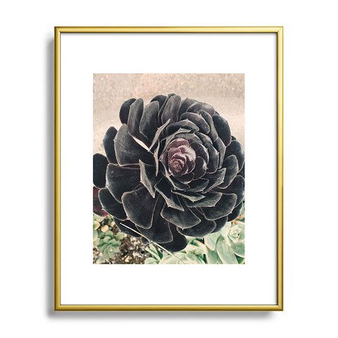 Maybe Sparrow Photography The Succulent Metal Framed Art Print