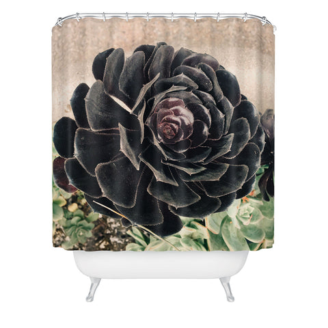 Maybe Sparrow Photography The Succulent Shower Curtain
