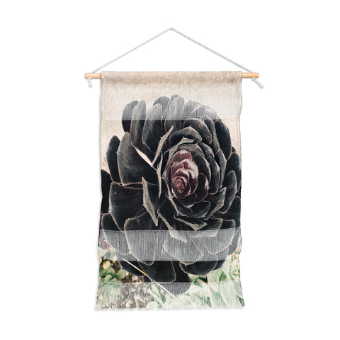 Maybe Sparrow Photography The Succulent Wall Hanging Portrait