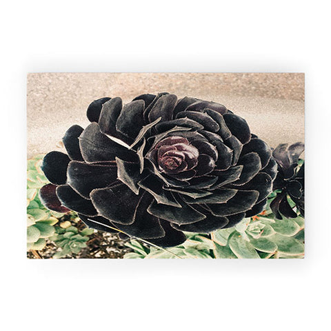Maybe Sparrow Photography The Succulent Welcome Mat